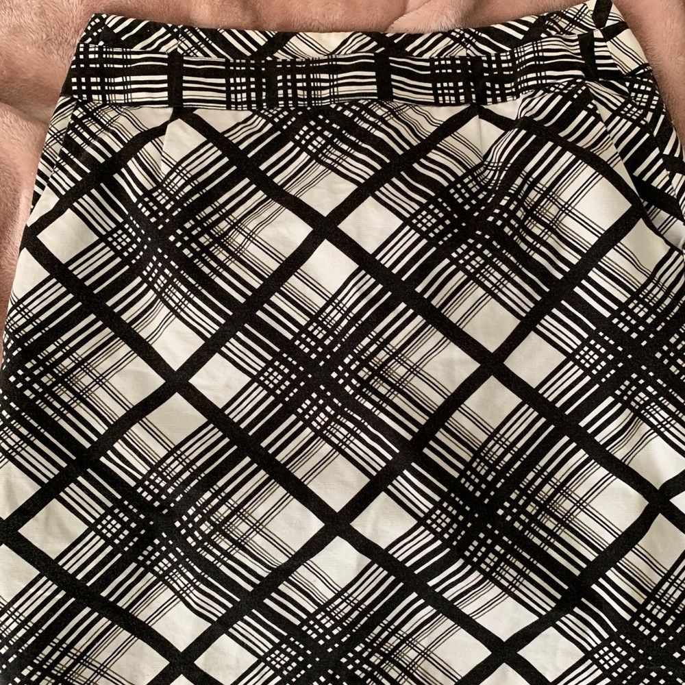 The Limited Mini Skirt